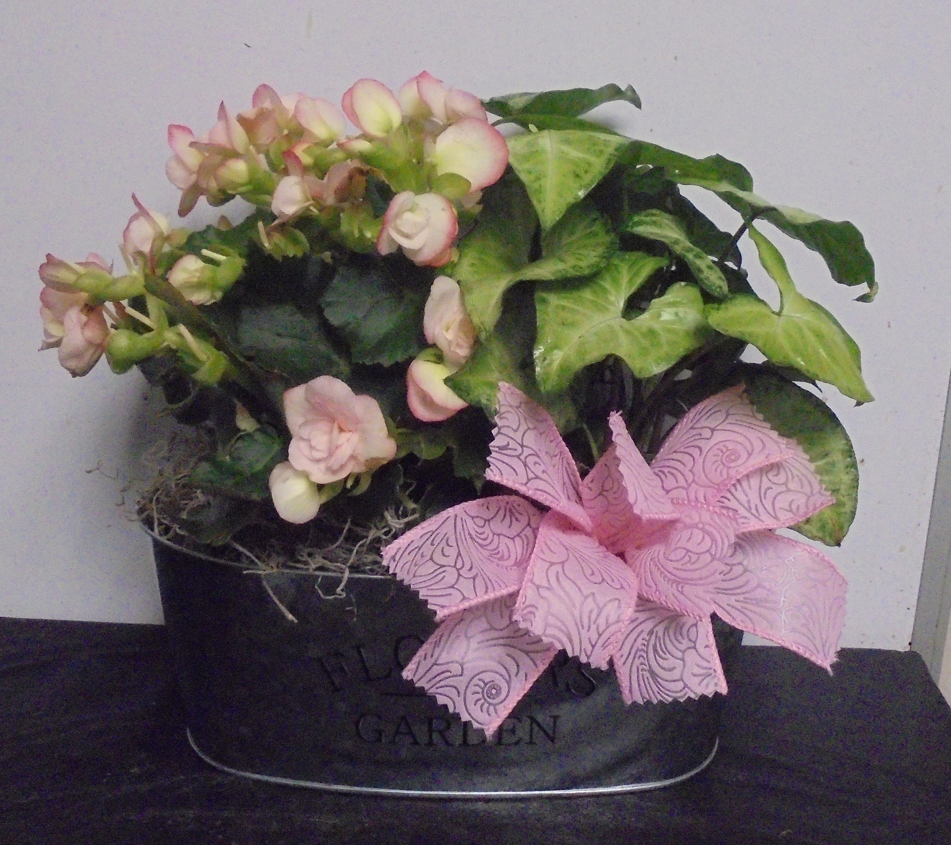 (9) Double Planter
(Pink Begonia & Nepthytis)
$35.00