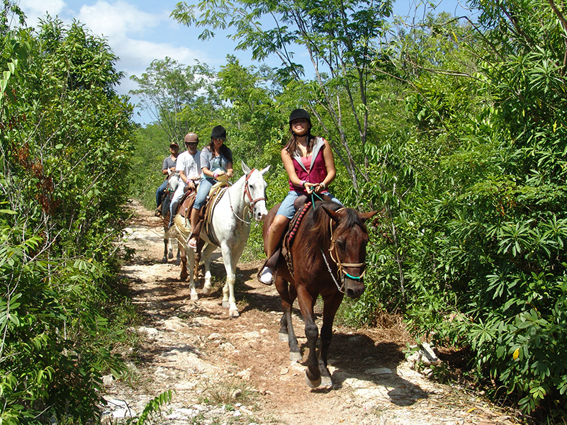 MONTAR A CABALLO NUNCA FUE TAN SENCILLO ¡¡