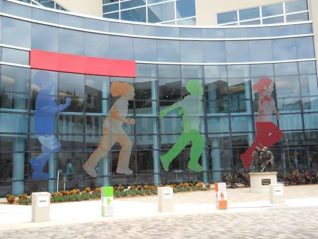 JOE DIMAGGIO
Vinyl Decals (Glass Wall)