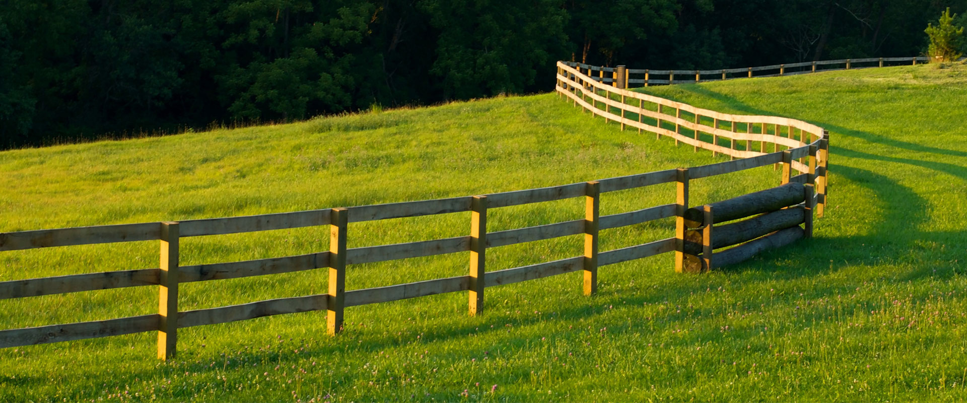 Fences Fresno Fencing Company