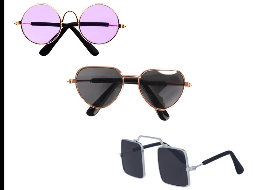 RO24 GAFAS PARA MASCOTA