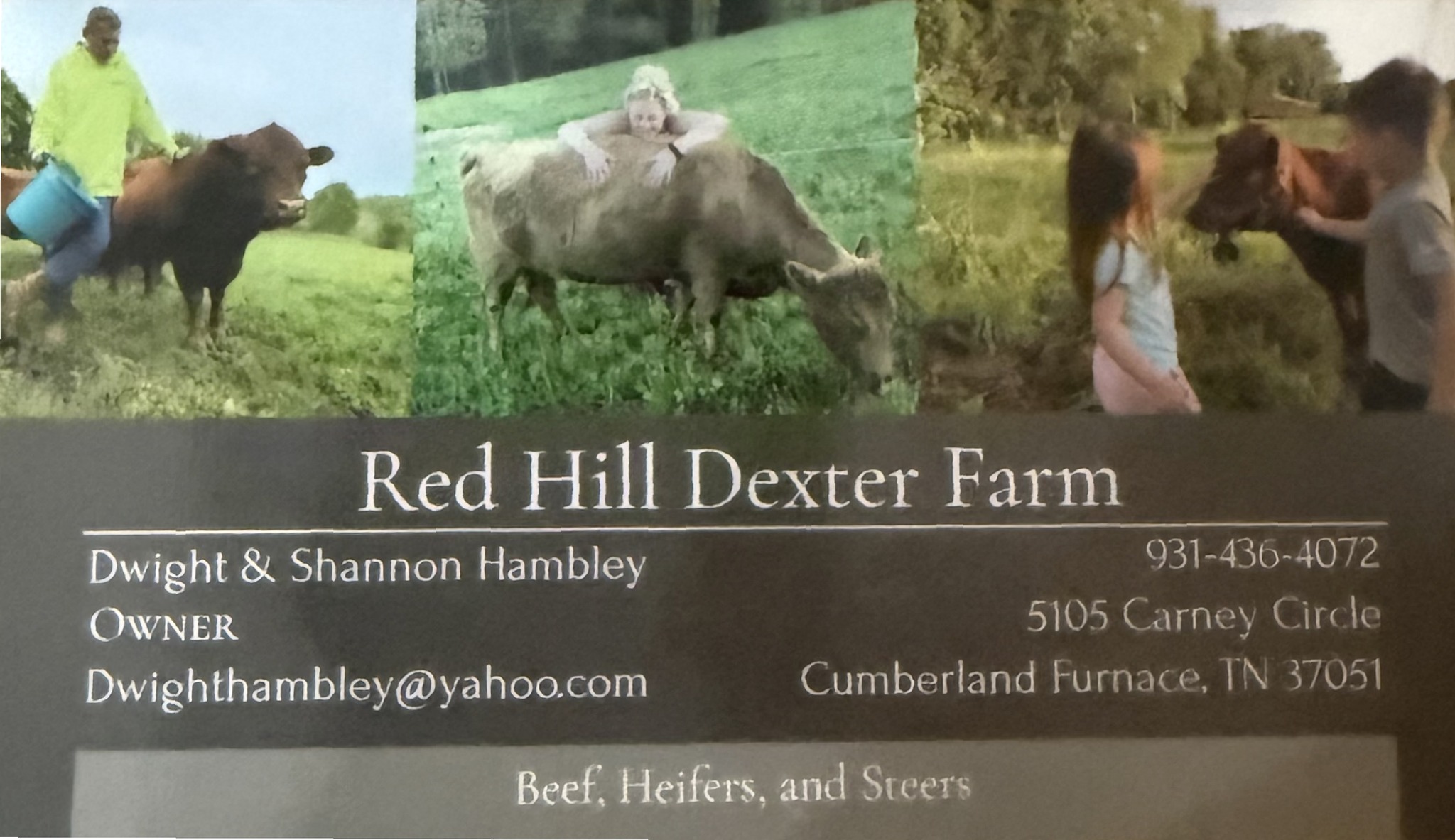 https://0201.nccdn.net/1_2/000/000/17e/285/red-hill-dexter-farm-business-card.jpg