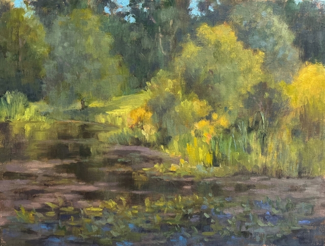 Schwartz, Meadowlark Pond, 9x12 Oil
