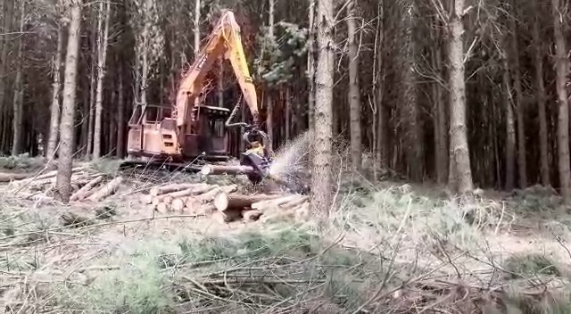                                                                      PROCESSAMENTO HAVESTER