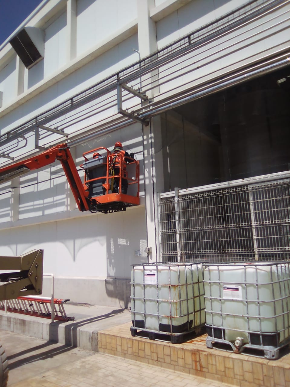 Colocación de malla antipajaros en Planta LALA