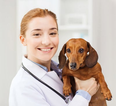 Doctor with dog