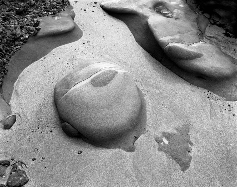 Point Lobos Rock Form