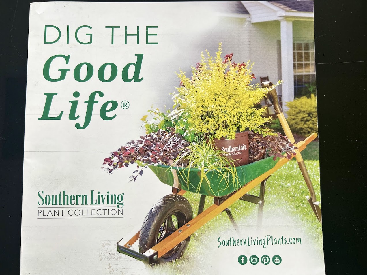 Beautiful suburban house with stone porch, lush landscaping, and curved pathway leading through manicured garden.