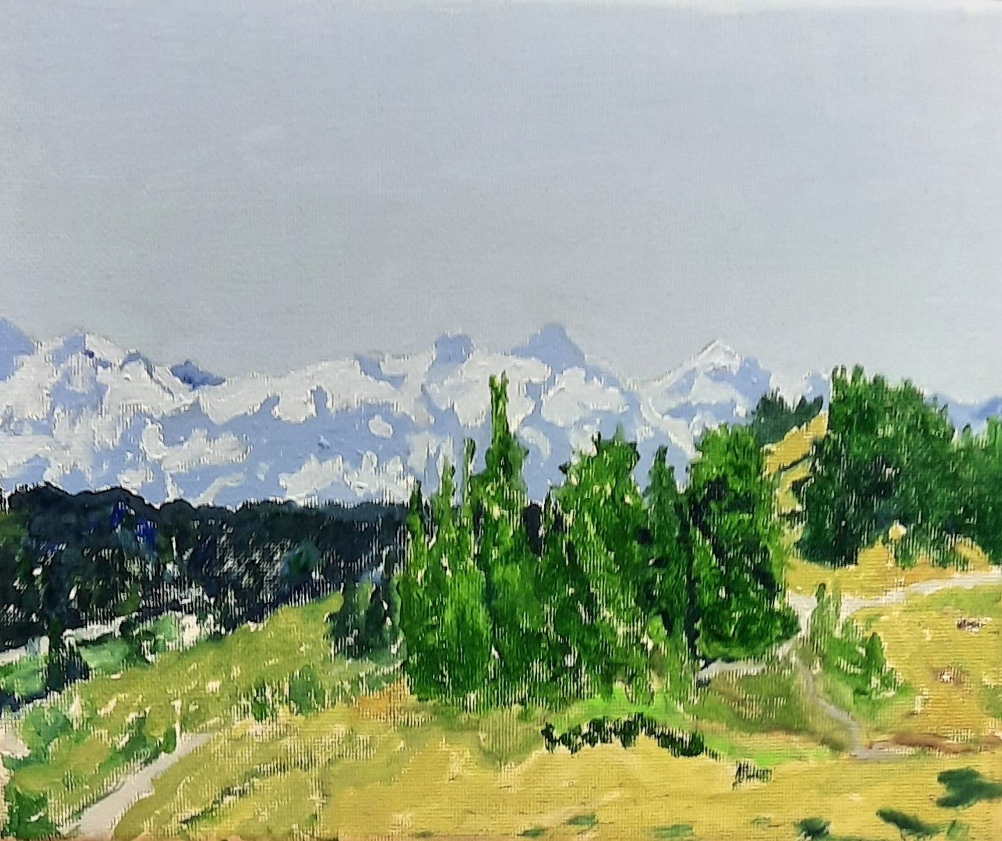 Op-103 CASCADE TRAIL 8x10 oil on Canvas 2024 private collection