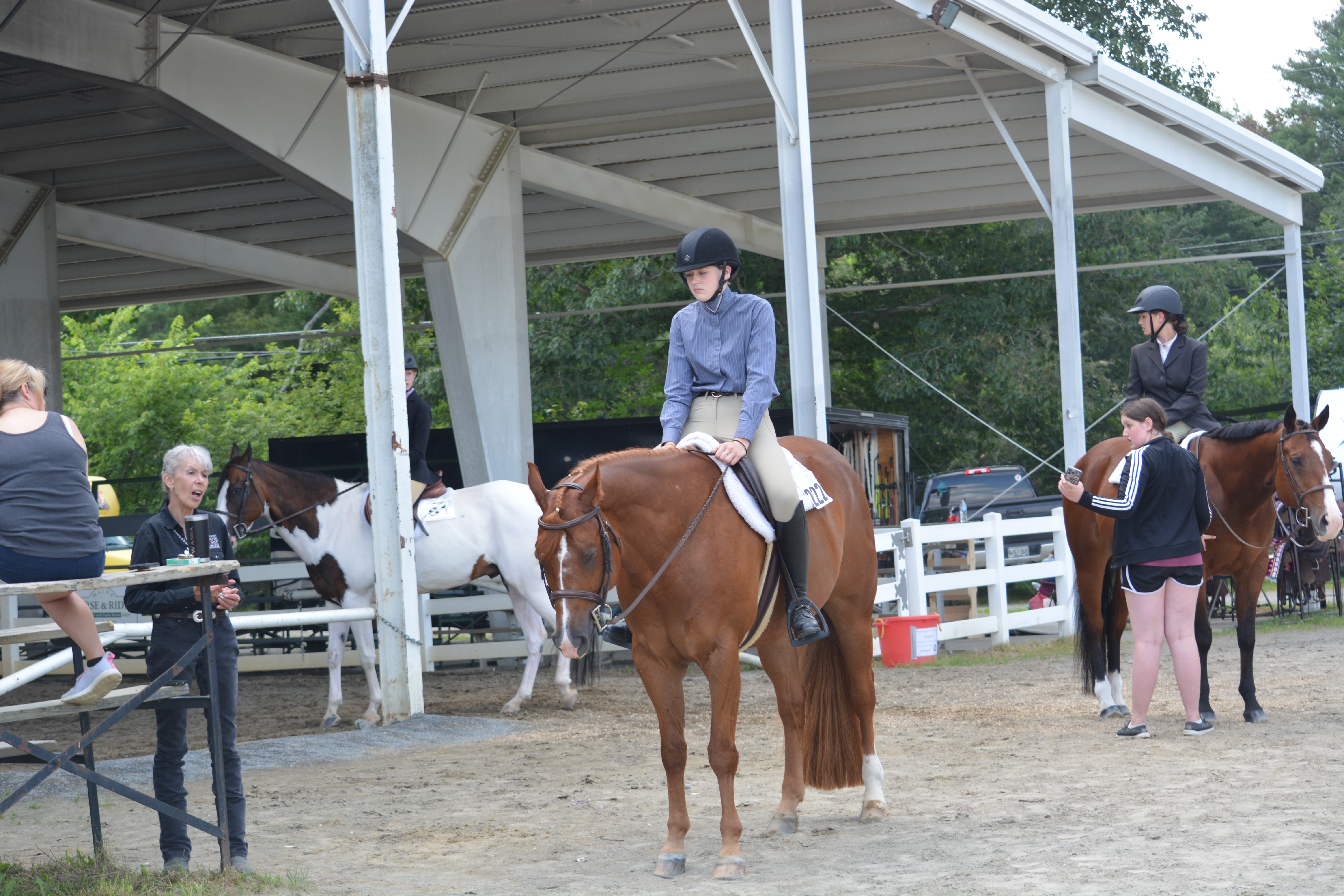 silhouette photography of horse riders on trees
