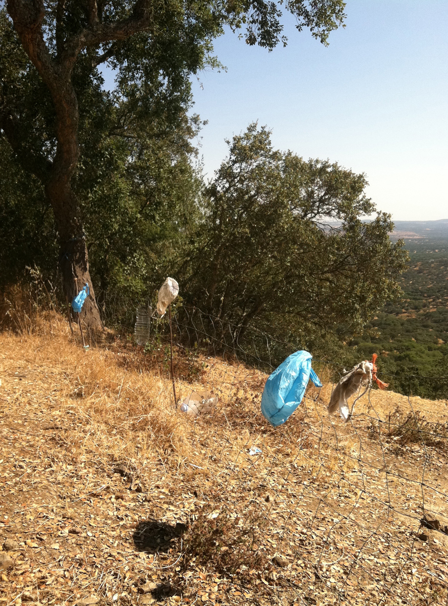 Blue plastic bags and other trash attached to a wire fence on a dry rural hillside.