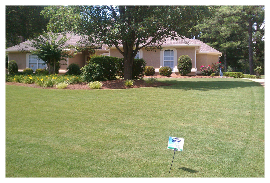 Bright sunny day healthy lawn||||
