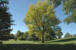 North Central Bikeway