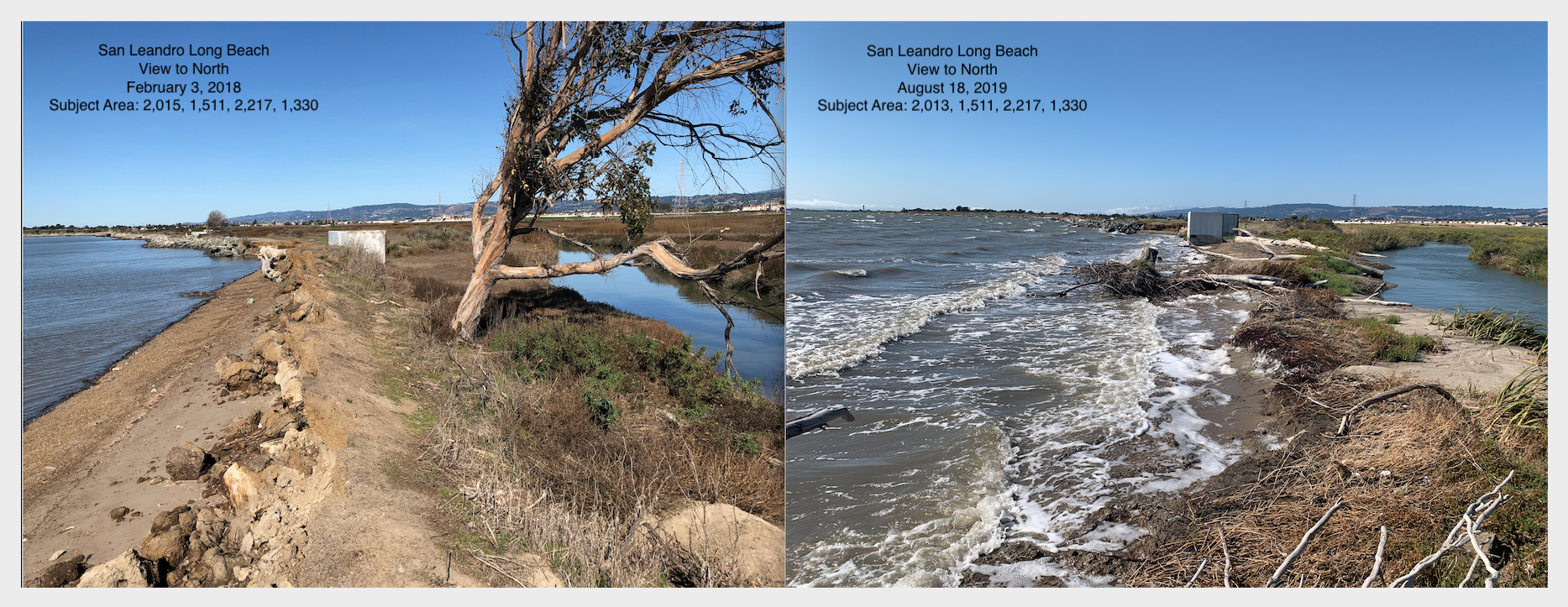 Independent Hometown Community Newspapers San Leandro News