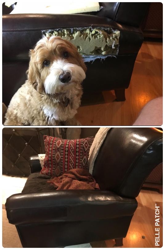 Pelle Patch Singapore, How To Fix Leather Couch Dog Chewed