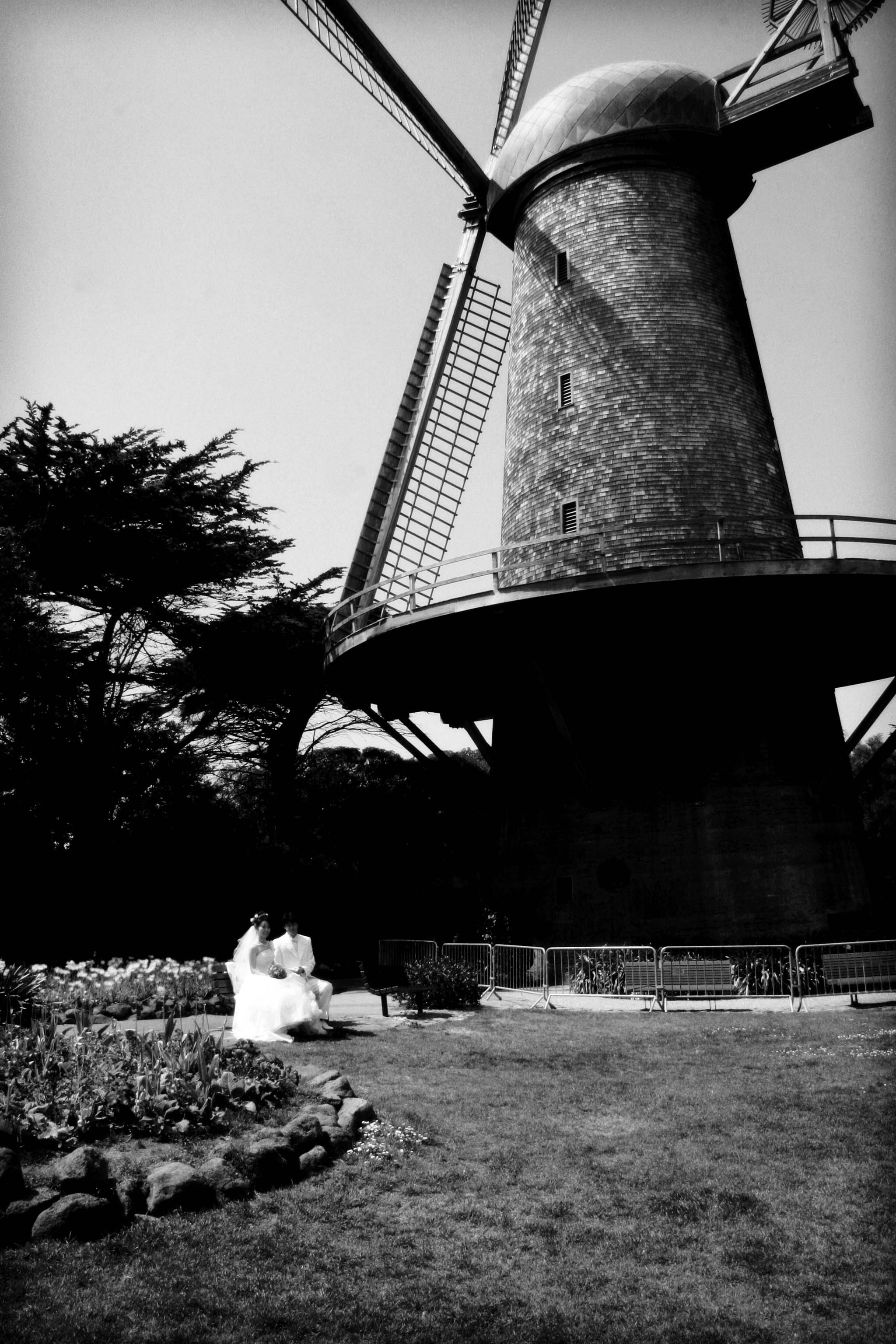 Wedding Photos