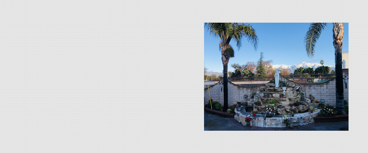 Outdoor garden with a stone fountain, flowering plants, palm trees, and a statue, set against a blue sky background.
