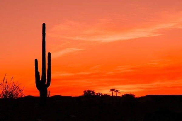 Bright Orange Desert Sunset 