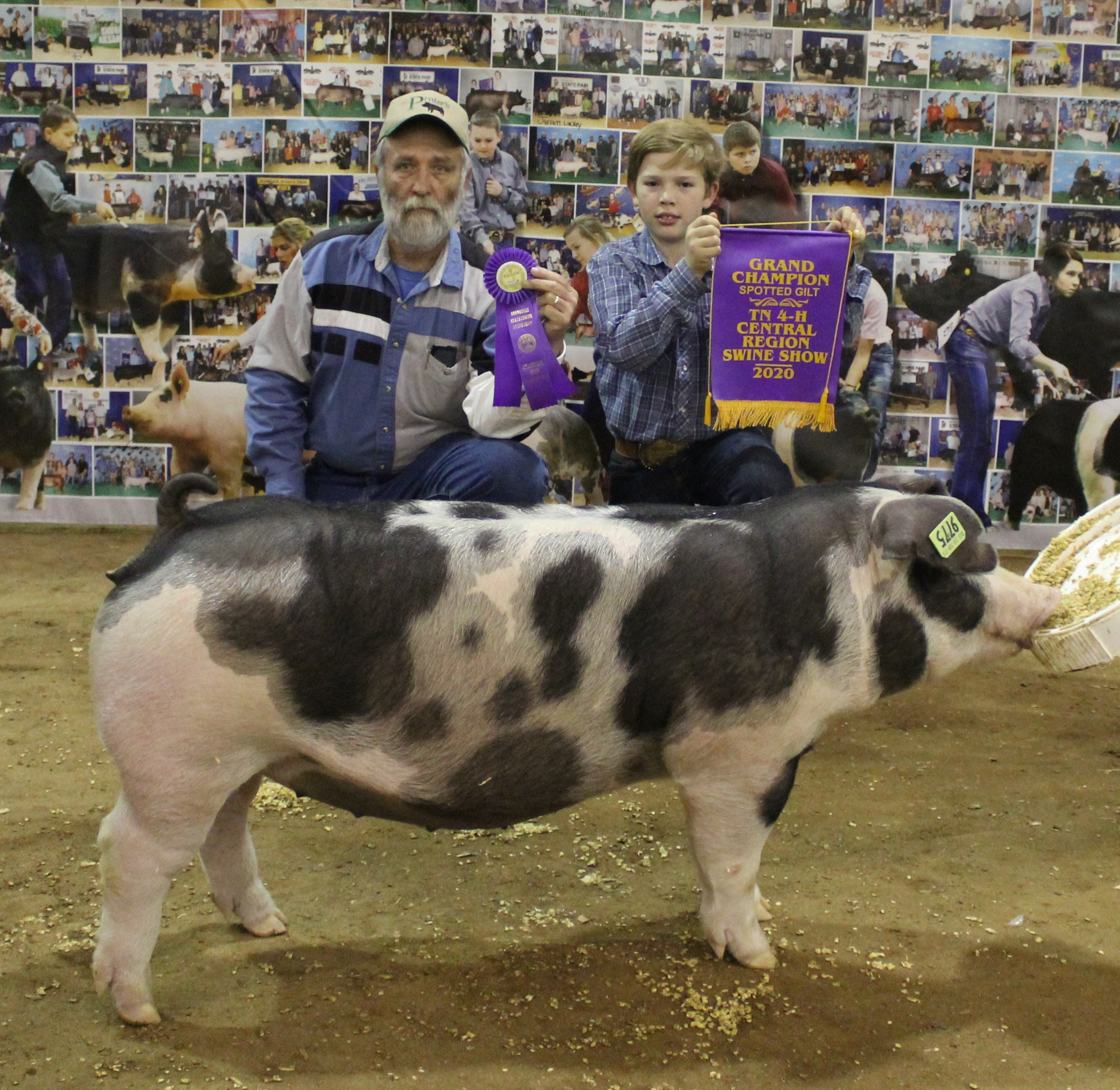 Casper Cossitt
2020 Tennessee State Swine Show
2020 Tennessee Central Region Show
Champion Spot Gilt