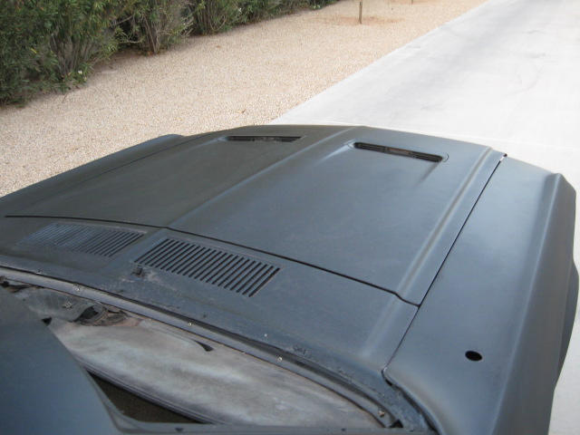 GT turn signal hood