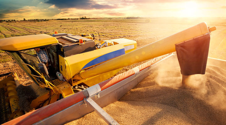 Geyser - NOS ESPECIALIZAMOS EN SEMILLAS Y FERTILIZANTES