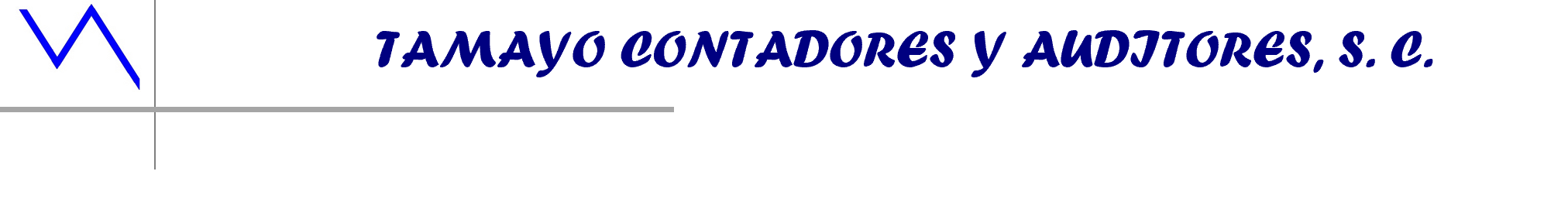 Tamayocontadoresyauditores