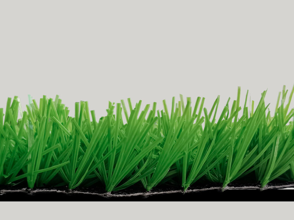 LIMON
SPORT-2 
TGS-40