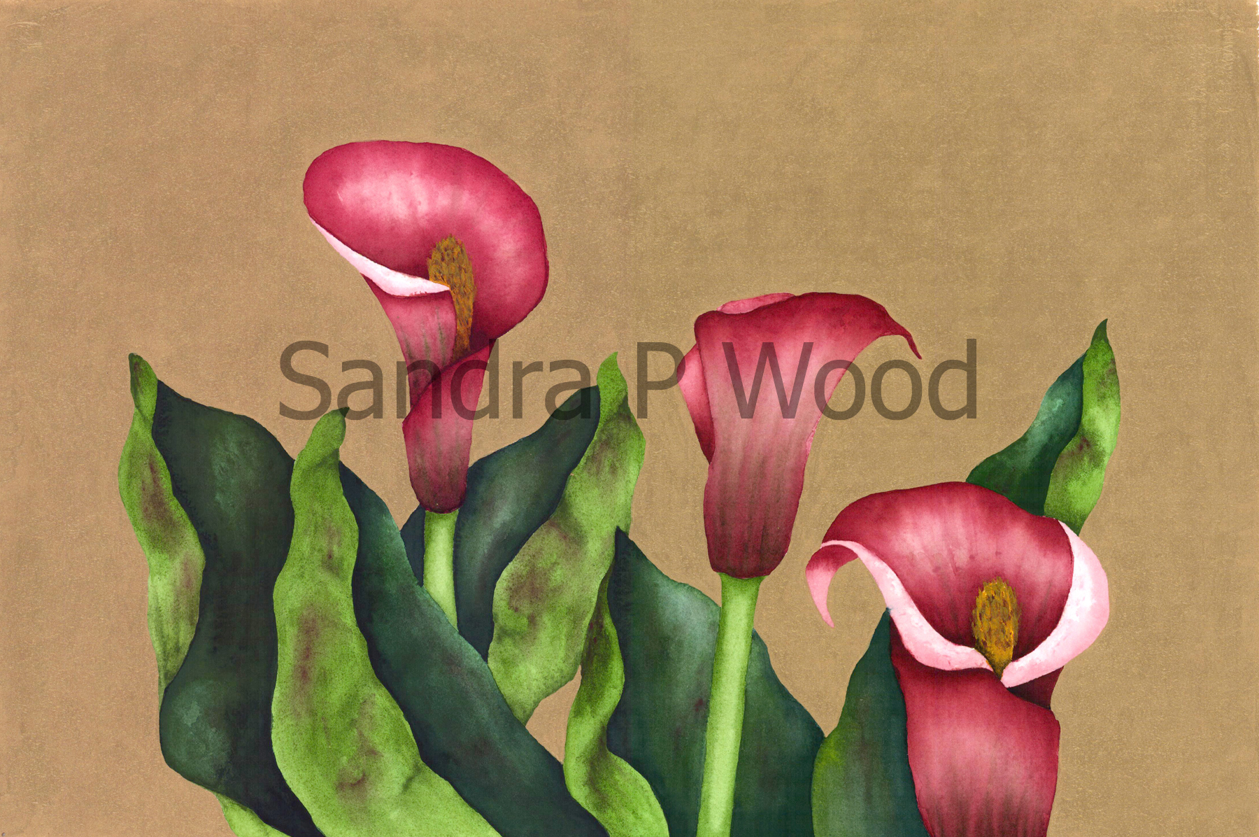 CALLA TRIO
(mixed media)

