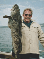 Lingcod from Puget Sound