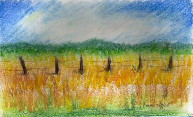 Field-Picture