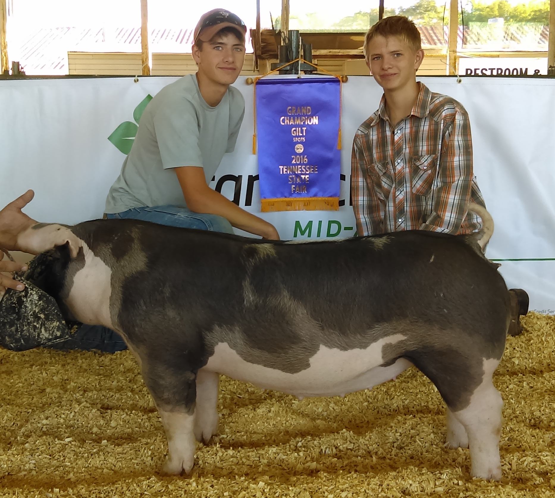 Will and Gill Derryberry
2016 Tennessee State Fair
Champion Spot Gilt