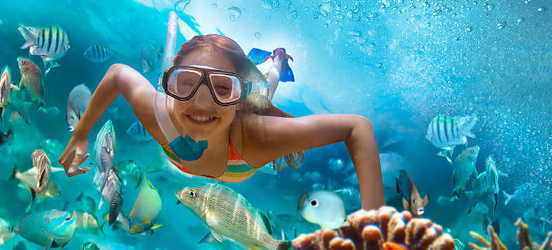 CONVIÉRTETE UNA SIRENA ¡¡¡¡¡¡¡