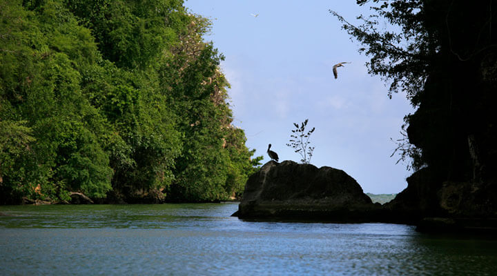 Rancho Típico Montilla - RIO