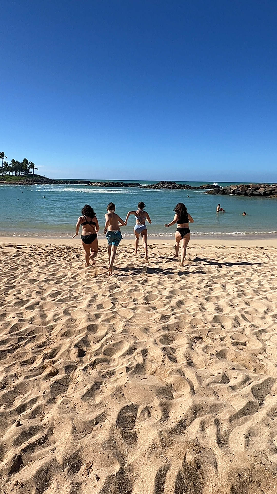 https://0201.nccdn.net/1_2/000/000/183/45b/hawaii-order-9.jpg