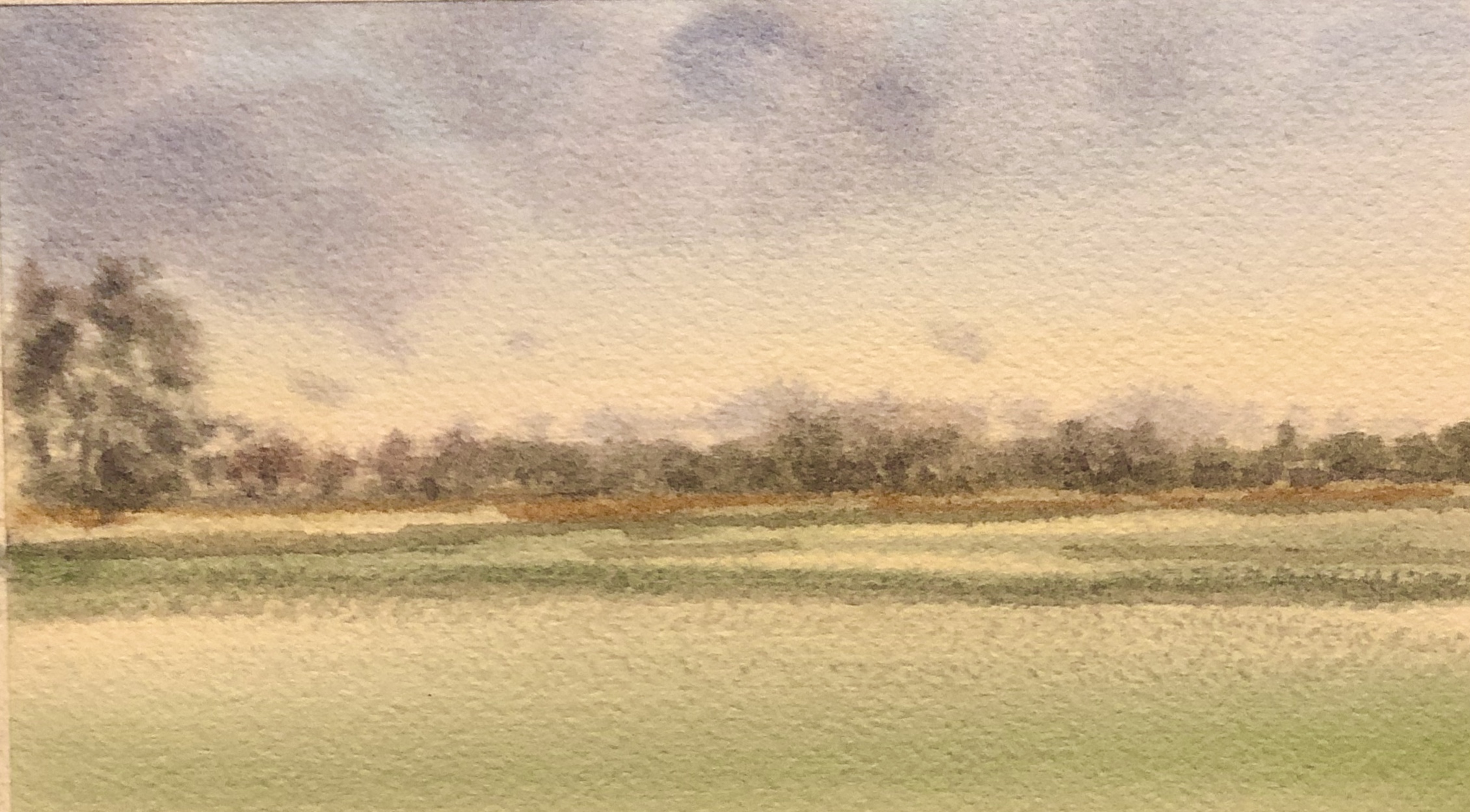 Champaign Prairie
Watercolor 
7.5" X 4.5"
$100.