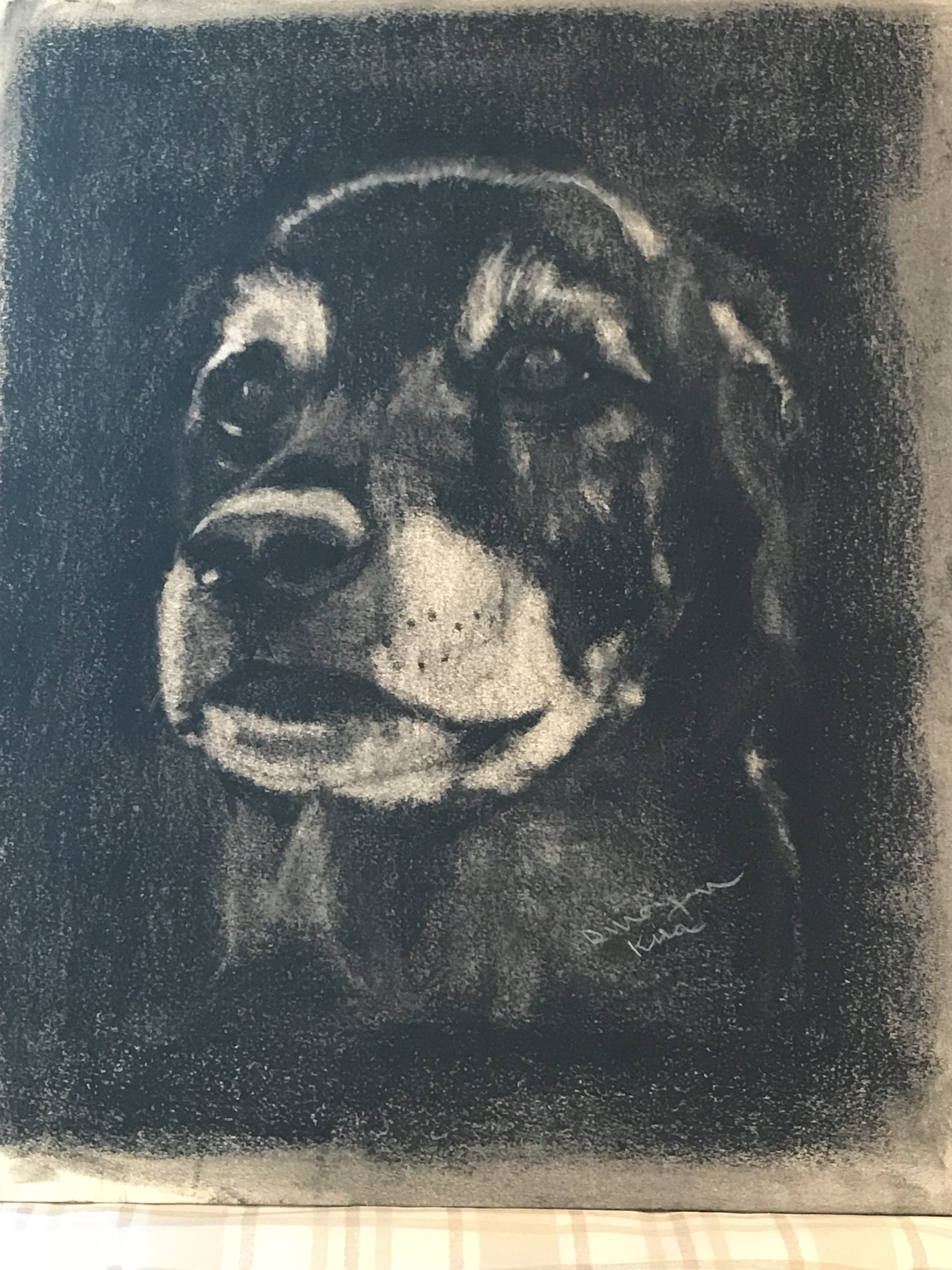 Kira - Black on White