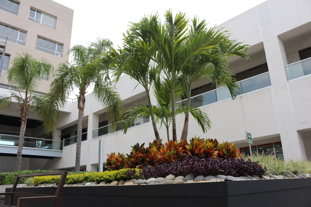 Plaza Novum - FRANQUICIAS