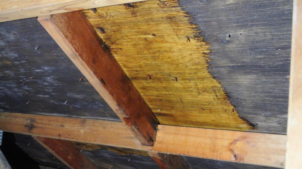 One Side of Section Treated