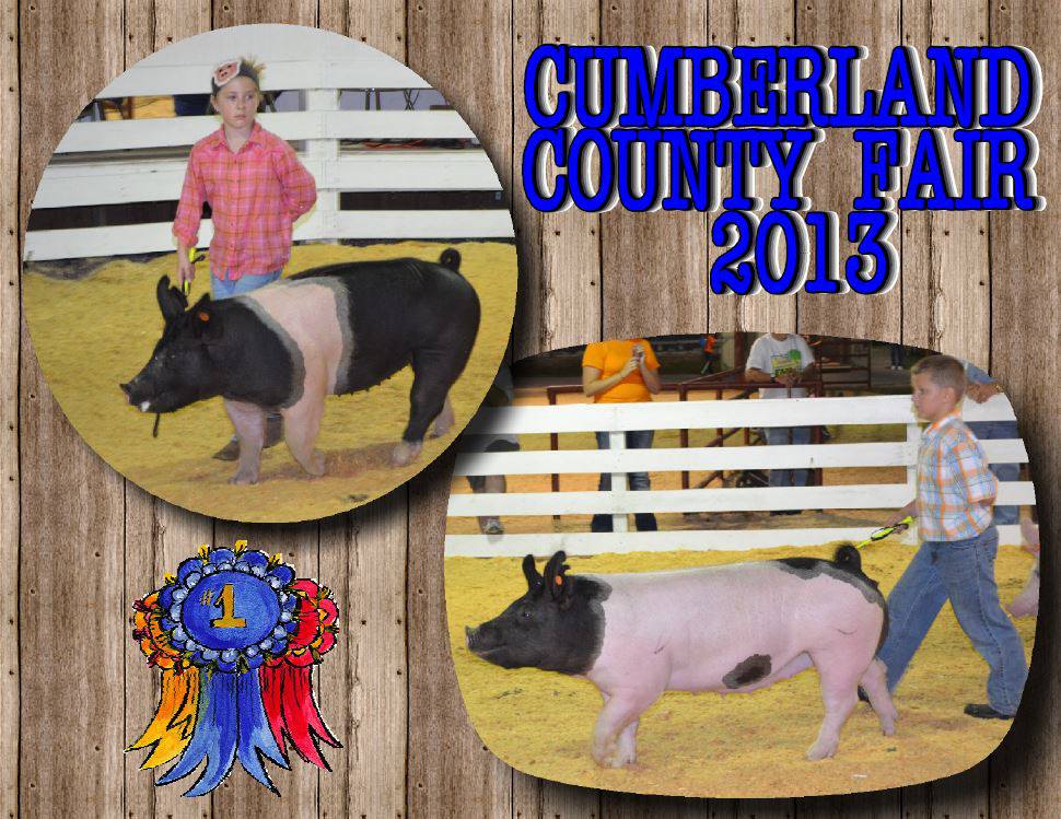 Lexi Stout: Grand Champion
Breyer Bow: Reserve Grand Champion