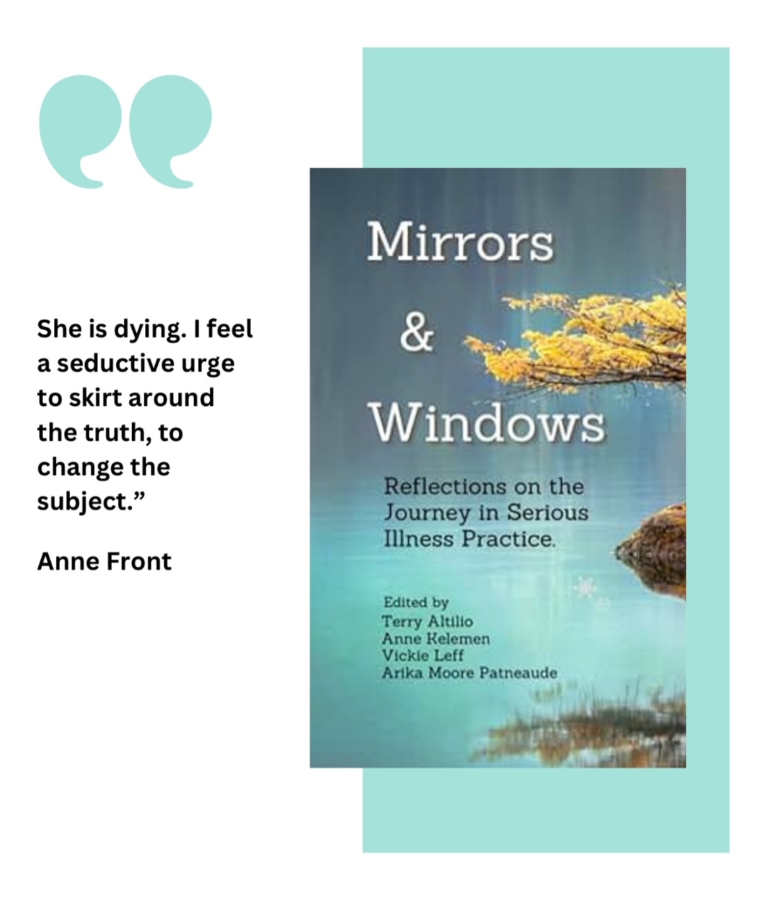 Mirrors & Windows Reflections on the Journey in Serious Illness Practice