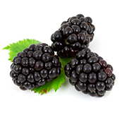Blackberry