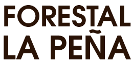 Madera Aserrada – Forestal La Peña – Durango