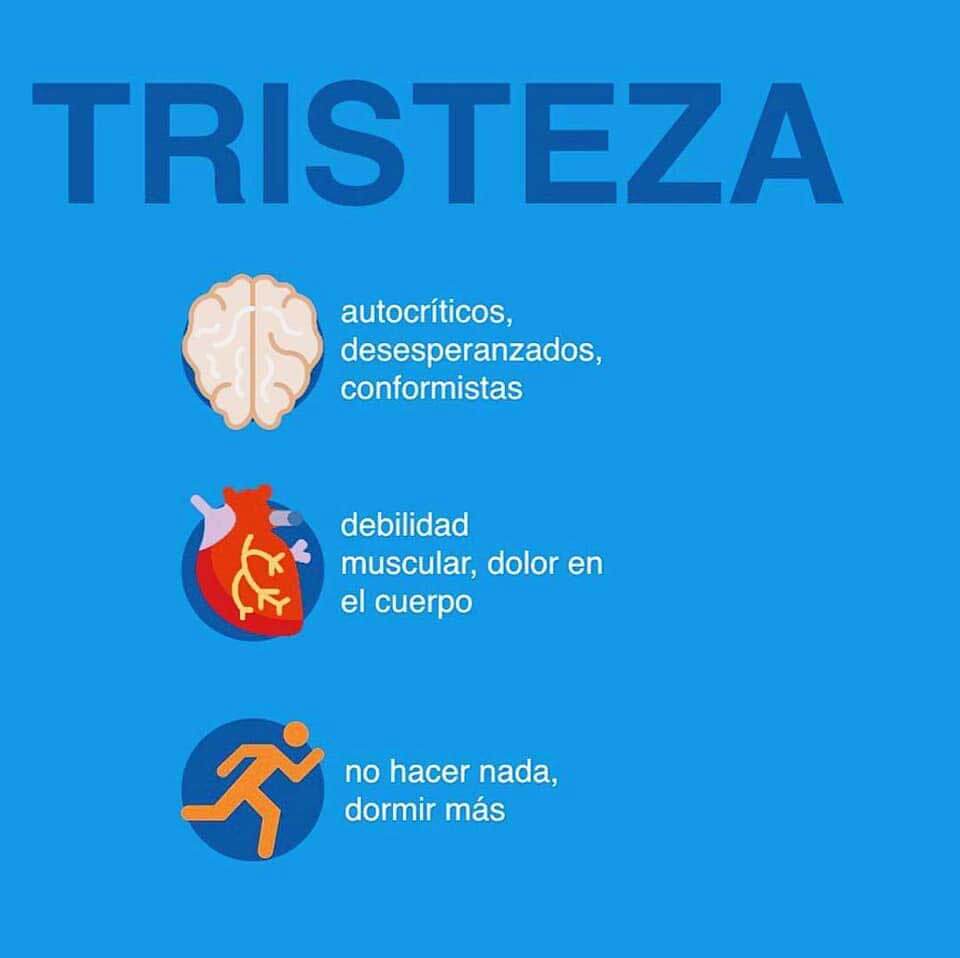 Clínica Misión del Sol S.A. de C.V. - TRISTEZA
