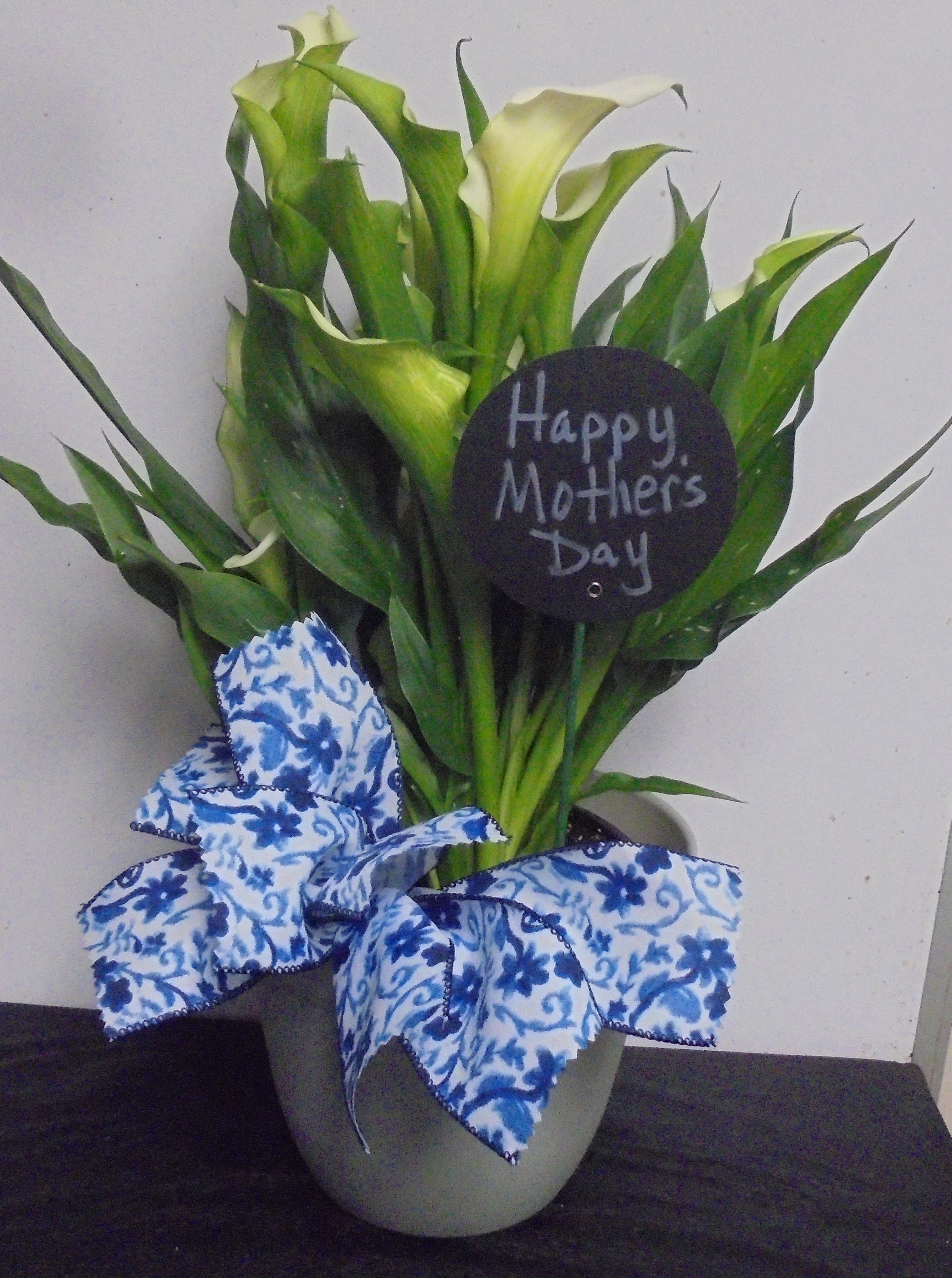 (31B)  "White" Calla Lily Plant
$45.00