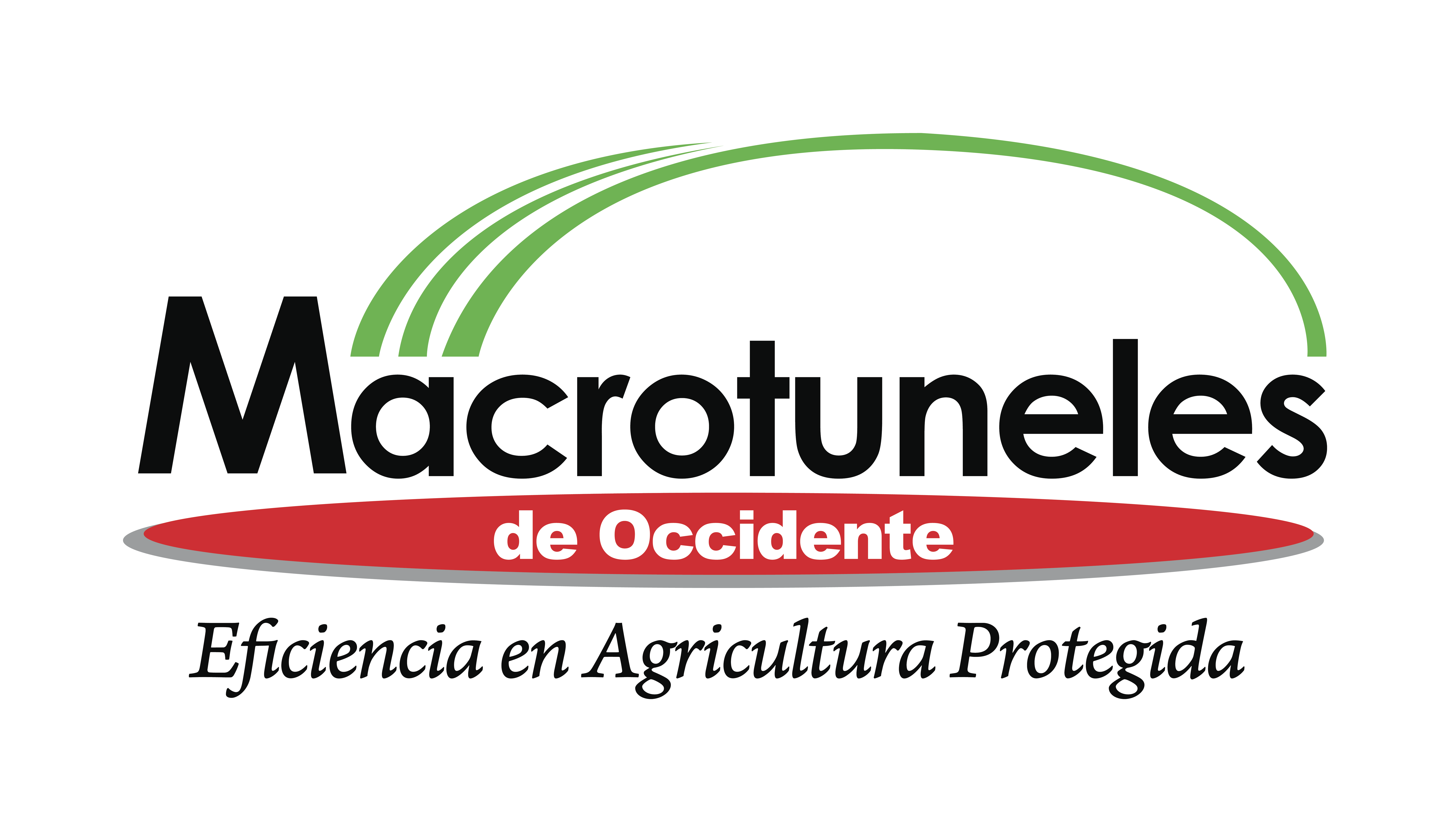 MACROTUNELES DE OCCIDENTE