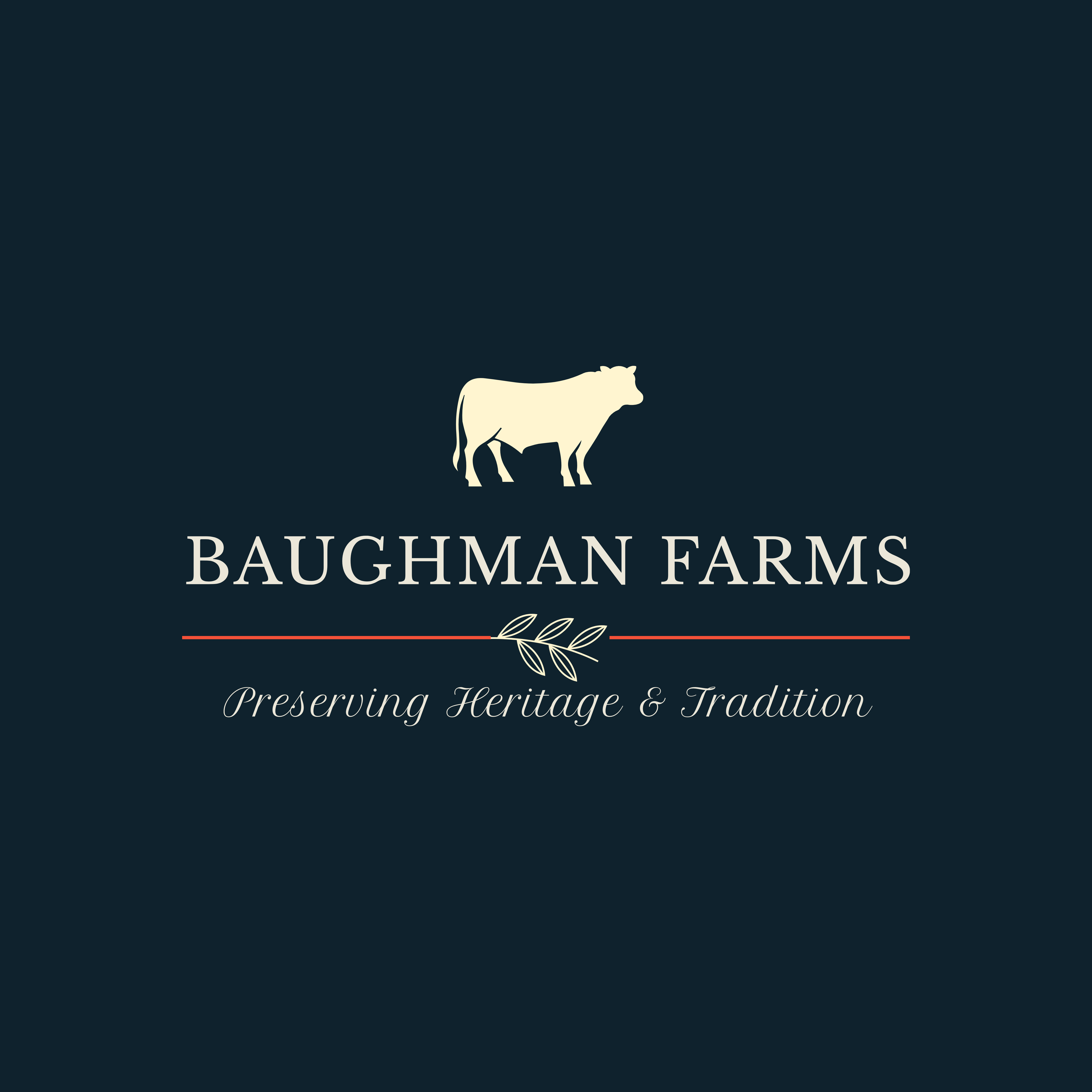 https://0201.nccdn.net/1_2/000/000/185/1f0/original-baughman-logo.png