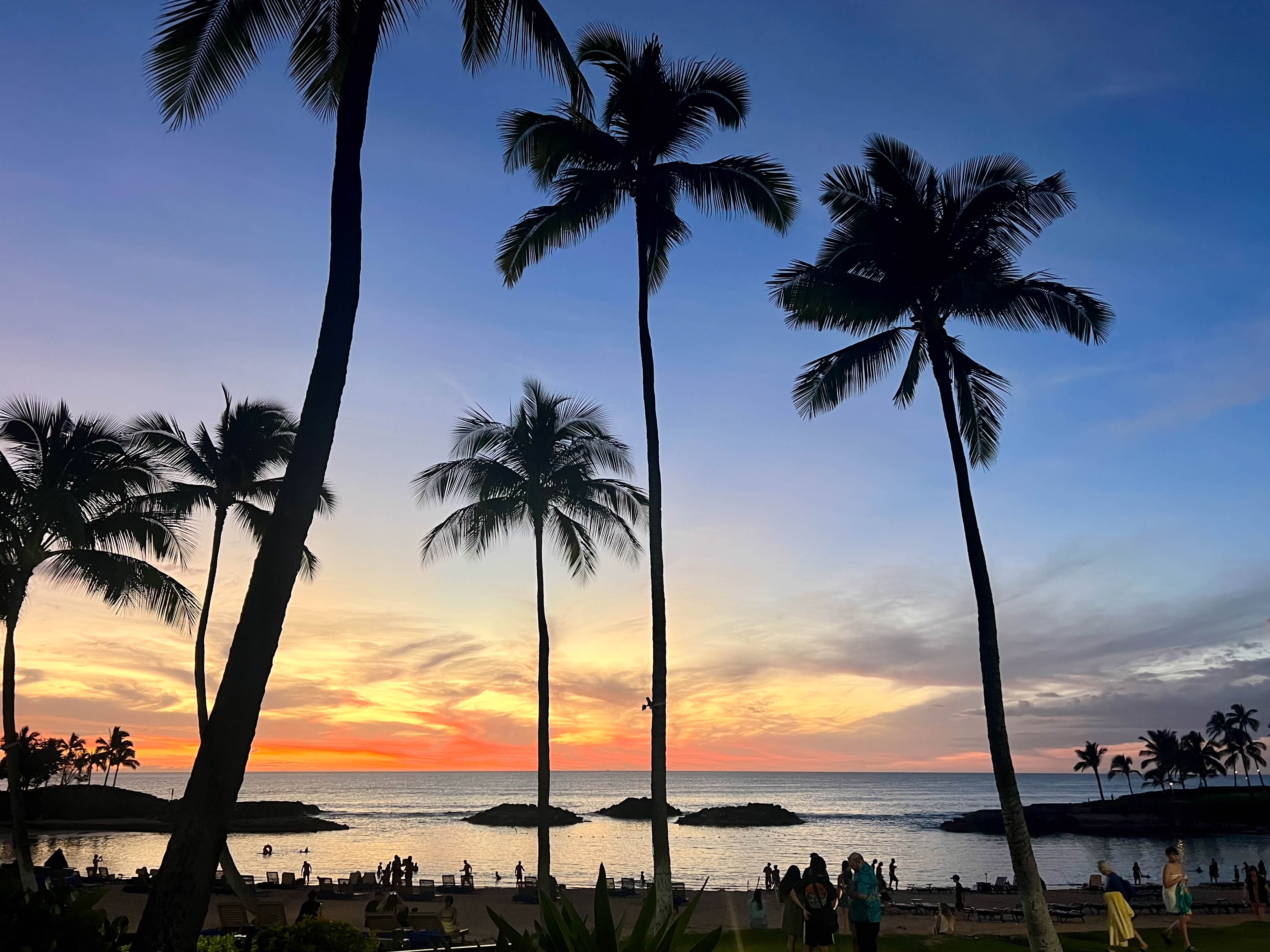 https://0201.nccdn.net/1_2/000/000/185/88a/hawaii-order-127.jpg