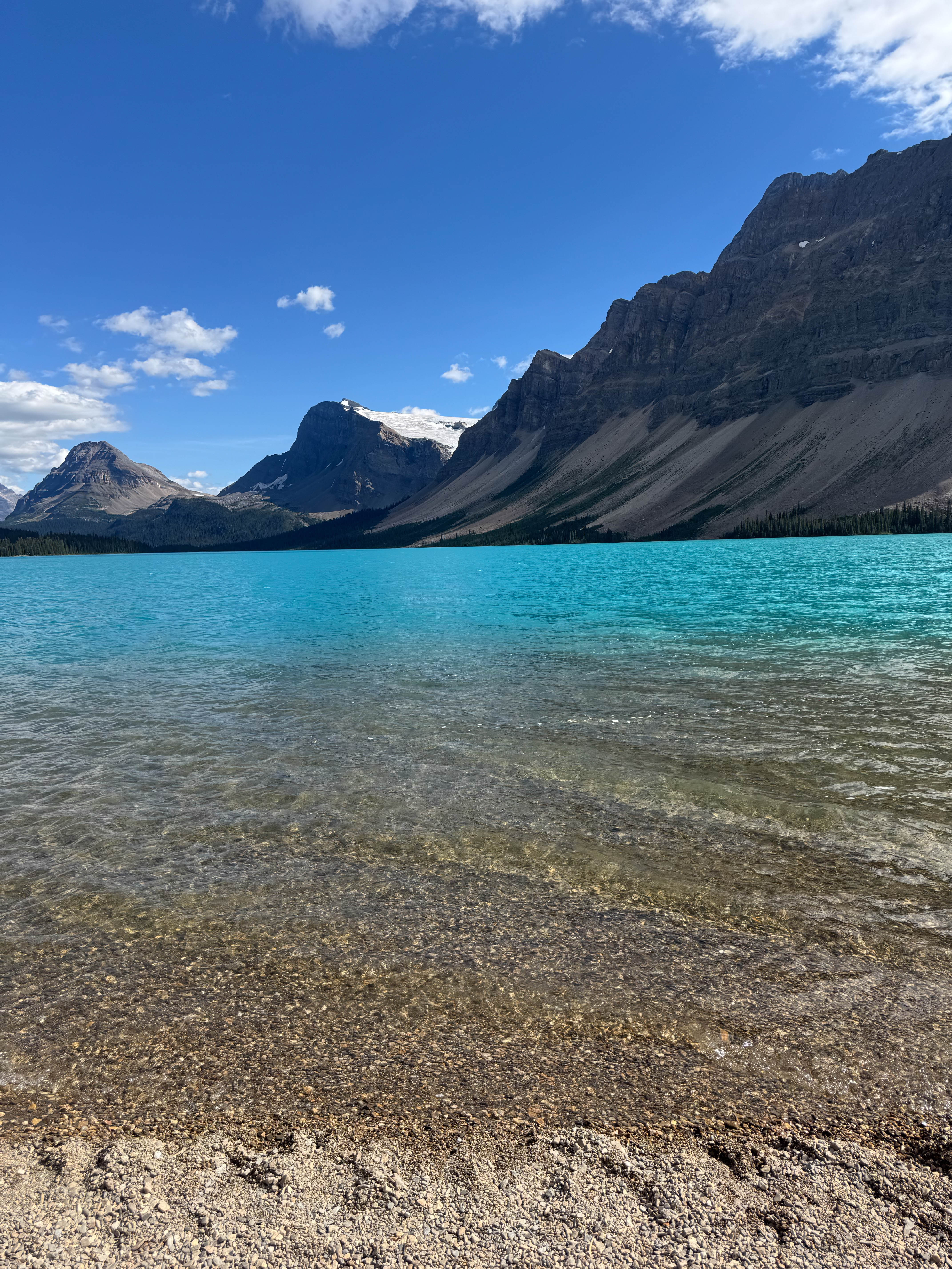 https://0201.nccdn.net/1_2/000/000/185/a2d/calgary-order-222.jpg