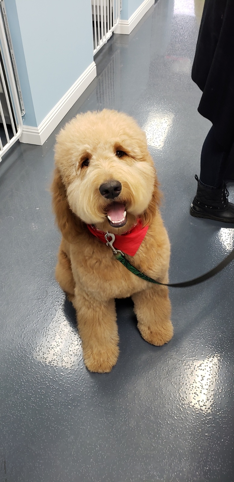 Sampson First Self-Serve Customer 