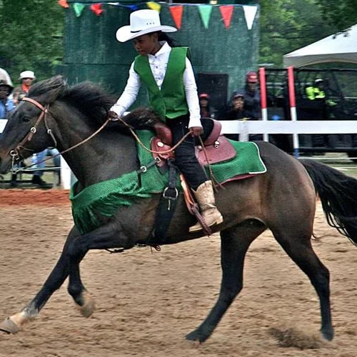 THE BLACK COWBOY FESTIVAL About Us